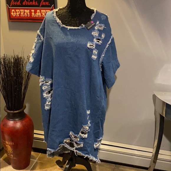 fashion nova plus size denim dress